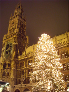 市庁舎前　巨大クリスマスツリー